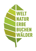 Logo Welterbe Buchenwälder