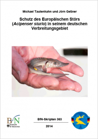 Titelcover Skript 363: Schutz des Europäischen Störs (Acipenser sturio) in seinem deutschen Verbreitungsgebiet