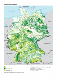 Karte der Waldformen in Deutschland