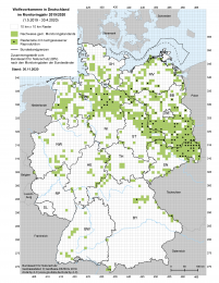 Deutschlandskarte Wolfsvorkommen im Monitoringjahr 2019 bis 2020