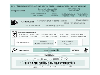 Konzeptgrafik zur urbanen grünen Infrastruktur mit vertikal angeordneten Oberthemen und Piktogrammen 