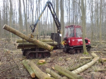 Schonende Holzbringung mit kleinem Raupen-Forwarder auf empfindlichem, frischen Standort, Nordost-Vorpommern.