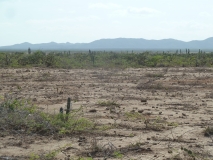 Wüstenbildung in einer von Dürre geprägten Landschaft im Norden Kolumbiens.
