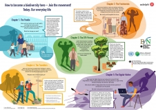 Die Infografik vereint fünf Einzelabbildungen mit Informationen und Handlungsempfehlungen für den Schutz der biologischen Vielfalt im Alltag, vom Lebensmittelladen bis zur Urlaubsreise. 