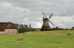 Das Bild zeigt eine historische Mühle in exponierter Lage sowie ein benachbartes Bauernhaus im Freilichtmuseum Molfsee.