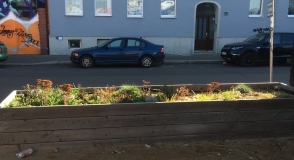 Ein Blumenbeet an einer Straße.