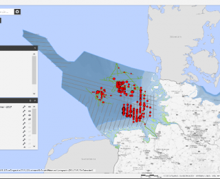 Screenshot Kartenanwendung: Erfassungskampagnen Sichtungen von Seevögeln