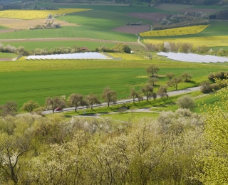 Strukturreiche Landschaft mit Äckern, Grünland, Obstbäumen und Photovoltaik.