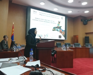 The Second CAMI Range States Meeting in September 2019 in Ulaanbaatar in conjunction with Central and Northeast Asian Wildlife Week