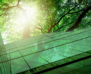 In einer Glasfassade eine Gebäudes spiegeln sich Bäume.