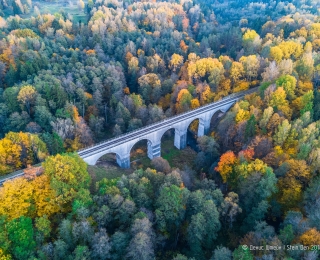 Auf der Abbildung sieht man eine Bahnbrücke in Tokarevka, Rominter Heide.