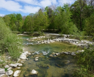 Steine und Pflanzen an einem Fluss.