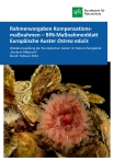 Cover Rahmenvorgaben Kompensationsmaßnahmen - BfN-Maßnahmenblatt Europäische Auster Ostrea edulis
