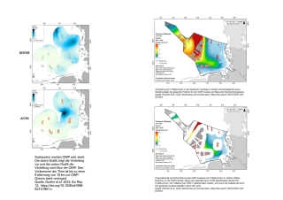 Die Karten zeigen die Verbreitung von Seetaucher und Trottellumme im Offshore Windpark vor und nach Bau der Anlage