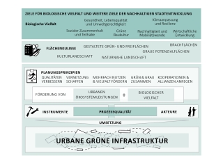 Konzeptgrafik zur urbanen grünen Infrastruktur mit vertikal angeordneten Oberthemen und Piktogrammen
