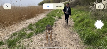 Ein mittels AR über das Smartphone eingeblendeter Wolf begleitet einen Tagungsteilnehmenden auf seinem Rundgang auf der Insel Vilm 