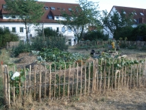 Garten umzäunt, im Hintergrund Wohnhäuser