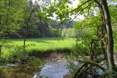 Ein ruhig fließendes Gewässer an einem Sommertag. Die  angrenzende Aue ist saftig grün.