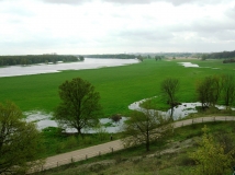 Das Foto zeigt überschwemmte Wiesen am Oderufer bei Lebus. Am Horizont ist der gewaltige Oder-Strom wahrnehmbar.