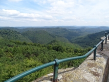 Von einem Aussichtspunkt ist eine weiträumige, geschlossene Walddecke zu sehen.
