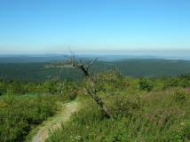 Das Foto zeigt den Ausblick vom Fichtelberg hinein ins Land.