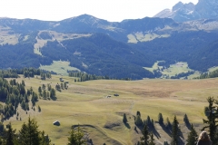 Lebensraum der Alpenfledermaus