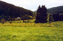 Gansleite und Wiesental im Mittleren Thüringer Wald (Foto: Bahram Gharadjedaghi)