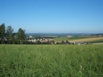 Hügellandschaft bei Neualbenreuth (Foto: Usch Martin)