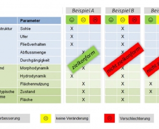 Beispielhafte Bewertung der "Zielkonformität" anhand der prognostizierten Wirkungen eines fiktiven Projekts auf die einzelnen Bewertungsparameter