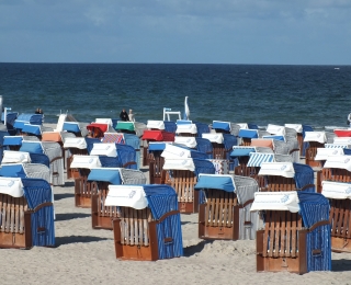 Strandkörbe am Strand, im Hintergrund sieht man das Meer.