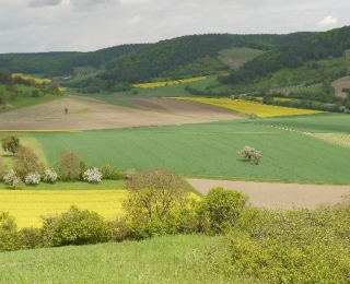 Harzlandschaft