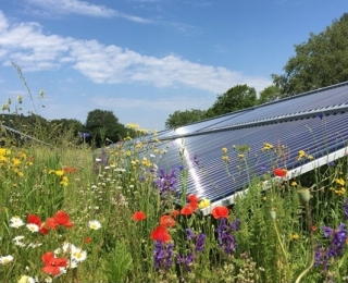 Solarthermiemodul auf einer blühenden Wildblumenwiese