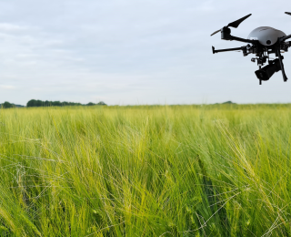 Drohne fliegt über Feld