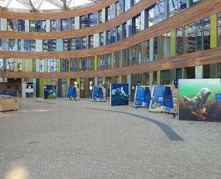 Die Ausstellung im UBA-Atrium