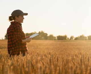 Junge Frau mit Tablet auf einem Feld