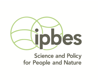 Logo Intergovernmental Platform on Biodiversity and Ecosystem Services (IPBES) 