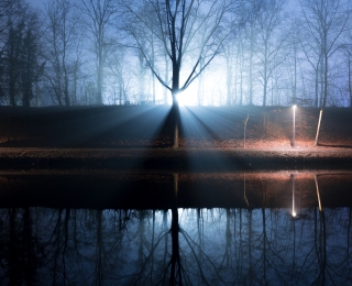 Bäume an einem Ufer werden nachts von Licht angestrahlt