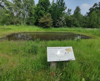 Teich, Wiese und Informationsschild