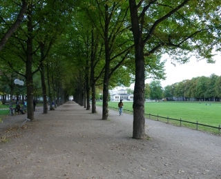 Allee mit Bäumen, rechts eine Rasenfläche