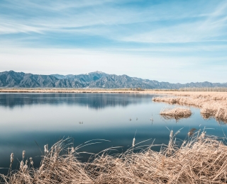 Gewässer umgeben von trockenem Gras