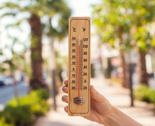 Thermometer in der Hand vor einer Straße mit Bäumen und Palmen während der Hitzewelle